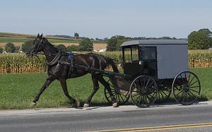 Amish 8 Wheeler.jpg