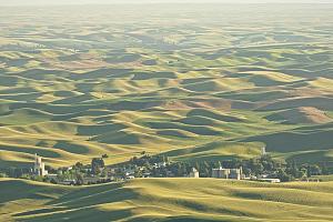 Click image for larger version

Name:	Palouse.jpg
Views:	37
Size:	215.8 KB
ID:	32403