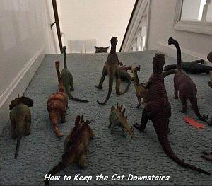 Click image for larger version

Name:	how keep cat downstairs.jpg
Views:	17
Size:	51.3 KB
ID:	39637