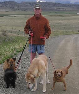 Me and the Dogs.jpg