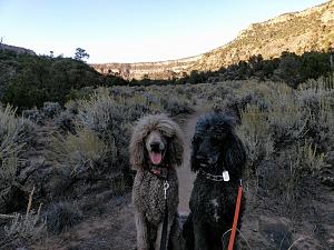 Jake & Tuck Rio Grande Gorge.jpg