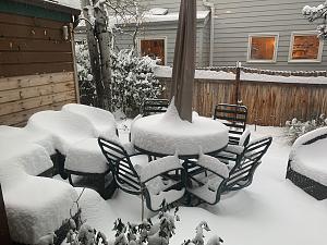 Back yard first snow.jpg