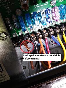 Ferrule inst dc fuse panel wire strands folded out before.jpg