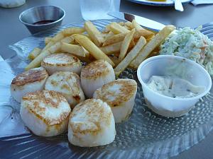 Now those are SCALLOPS!!!.jpg
