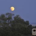 Blood Moon, Edgewood, NM